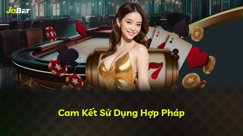 Cam Kết Sử Dụng Hợp Pháp