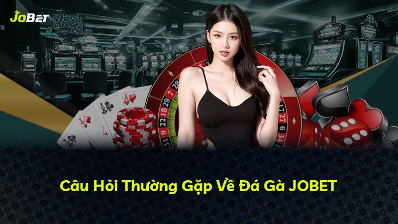 Câu Hỏi Thường Gặp Về Đá Gà JOBET